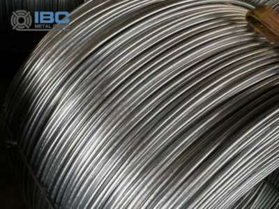 SAE 1006 Wire Rod